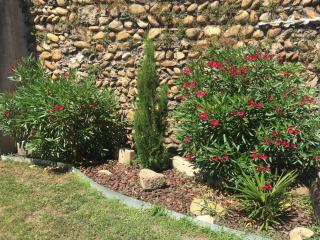 Le Charles IX - Roussillon - 1