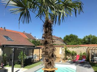 L'Atelier Zen - Sarreguemines - 9