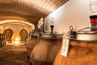 Agriturismo & Cantina Tenuta Casteani - 1