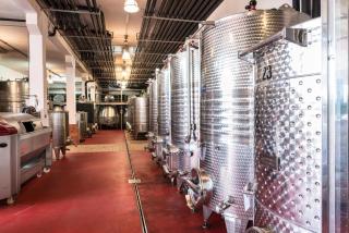 Agriturismo & Cantina Tenuta Casteani - 3