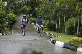 Eco Garden Resort & Heritage Cheruthuruthy Thrissur - 5