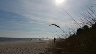 Villa _Duenen vis a_ vis_ _ strand - Ahlbeck - 9