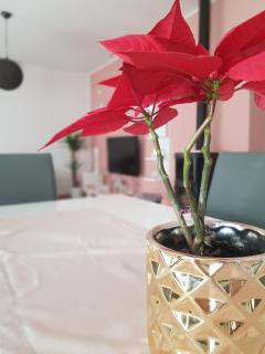 Apartmani Milutin - Brodarica - 1