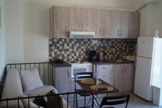 Sea Side Apartment - Palaia Fokaia - 7