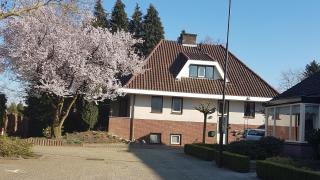 B&B De Loenense Bossen - Loenen - 8