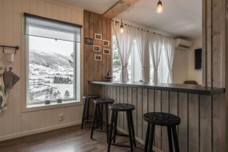 SAGI 4 PRIVATE APARTMENT - Hafslo - 1