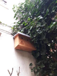 Le nichoir aux oiseaux - Paris - 5