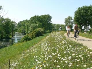Vakantiepark Wilhelm Tell Superieur Chalet - Oudsbergen - 8
