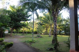 Walkerz Inn - Panglao - 1