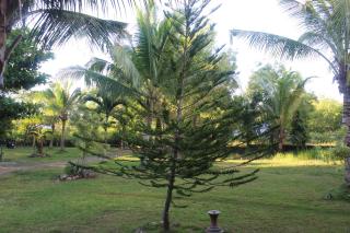 Walkerz Inn - Panglao - 2