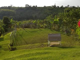 Hotel Chalet San Juan de Ticlan - Armenia - 6