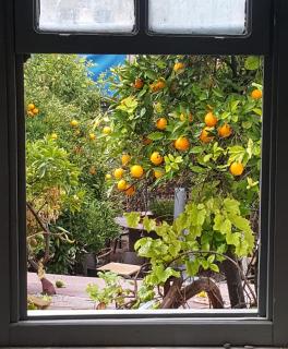 Gizli Bahçe - Antalya - 3