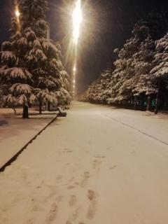 Enjoy The Hostel - 4