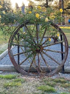 Arches Cottage - Twizel - 3