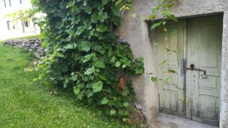 Barbara`s Village House - Ilirska Bistrica (Bisterza) - 3