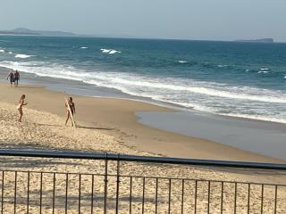 Ocean Courtyard - Beachside Unit - Alexandra Headland - 7