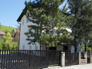 Apartment Zupan - Maribor - 9