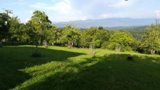 Barbara`s Village House - Ilirska Bistrica (Bisterza) - 6
