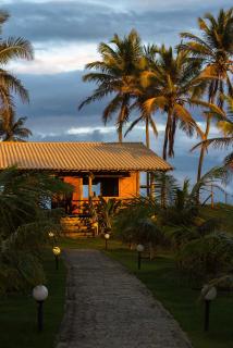 Tree Bies Resort - Oficial - 4