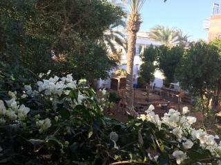 Sunrise Dahab lodge - 3