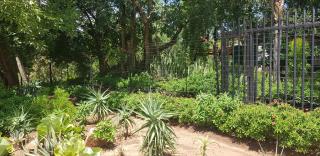 A Farm Stay - Casablanca's Private Cottage,no loadshedding! - 5