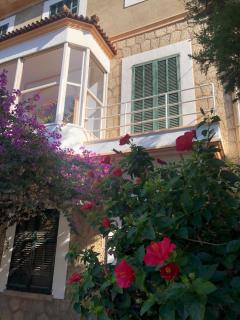 Sol Port Soller - 6