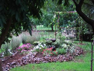 Millstream Inn guest house - Skeerpoort - 5