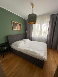 Apartament F&J #35 - Toruń - 6