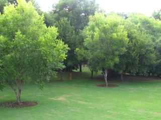 Millstream Inn guest house - 8