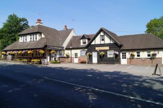 The Flying Bull Inn - Liss - 8