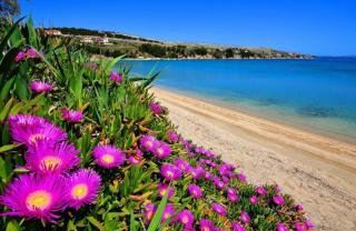 Little Heaven on Earth - Apartmani Martina - 7
