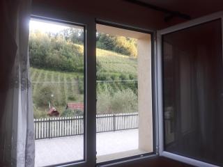 Guesthouse Stanojevic - 1