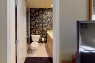 405 - Chambre - St Pete Beach - 3