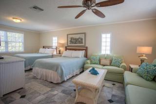 Yoda Beach House - St. Pete Beach - 2