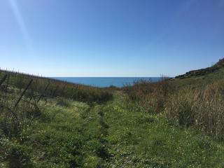Casa vacanza nella riserva naturale del Belice - Castelvetrano Selinunte - 5
