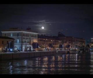 Pisicchio Rooms - Fiumicino - 8