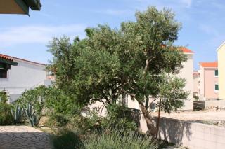 Holiday house with a parking space Novalja, Pag - 6492 - 2