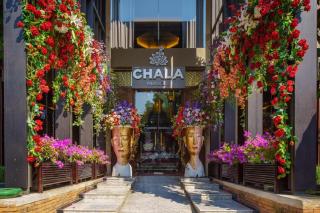Chala Number6 - Chiang Mai - 6