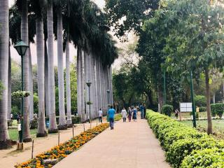 The Neem - New Delhi - 3