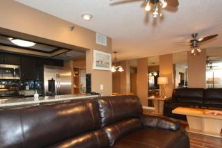 503 - Arena De Madeira - St Pete Beach - 6