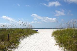 1501 - Gulf Winds - St Pete Beach - 8