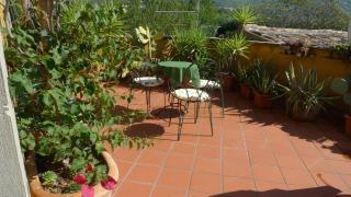 Le Ninfee - Cassino - 4