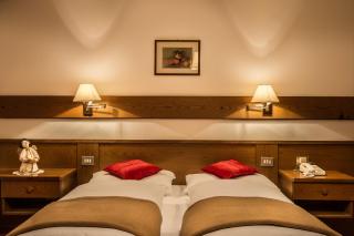 Hotel Boè Sport and Nature - Arabba - 9