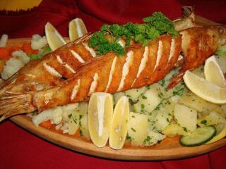 Kis-Duna Motel & Camping - 2