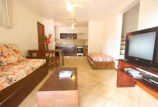 Concha Tropical Flat - 7