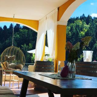 Winzerhotel am GUT MOSER - 3