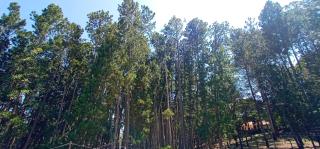 Lilara Hills - Diyatalawa - 6