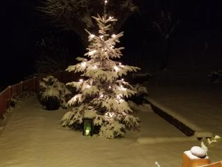 Trippolthof - 8