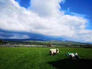 Bennar Isa Cottages Dyffryn Ardudwy - 4