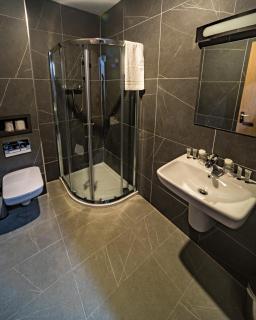 The Old Quarter Townhouse - Limerick - 3